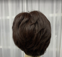 Full Handmade Monofilament Top Wigs For Women|Human Hair