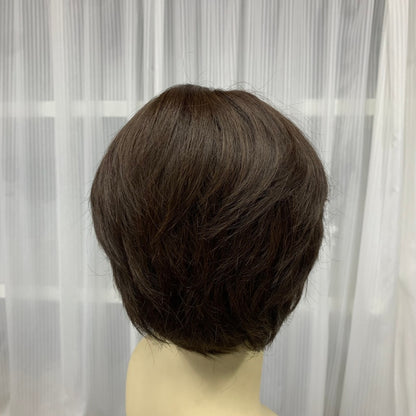 Full Handmade Monofilament Top Wigs For Women Human Hair